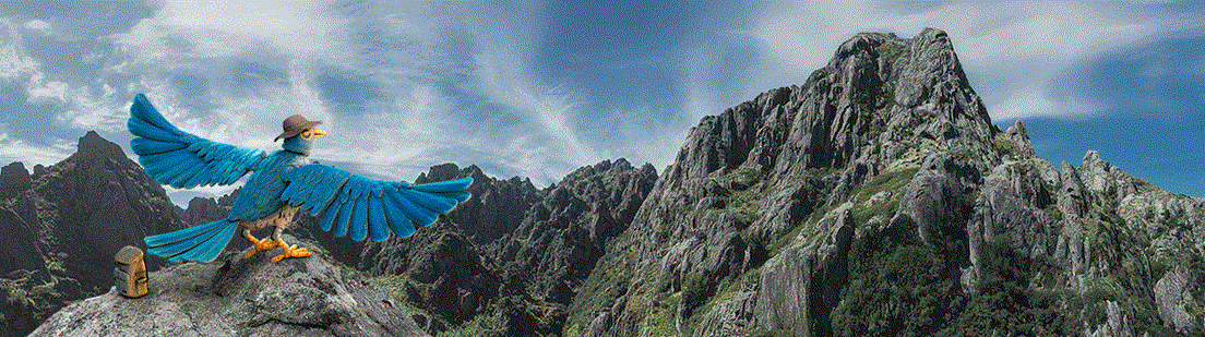 cordoba turismo interior