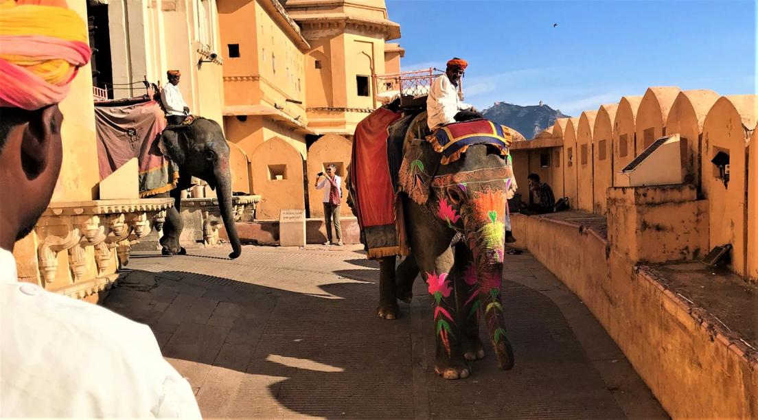 Amber Fort. ABC Mundial in India: Golden Triangle Tour With Udaipur. Photo Pablo Pla IG @pablitopla