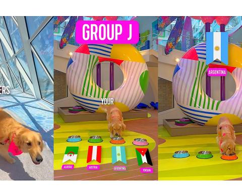 Rover, la Chief Dog Officer de Royal Caribbean, predice que Argentina ganará su grupo en el Mundial 2026.