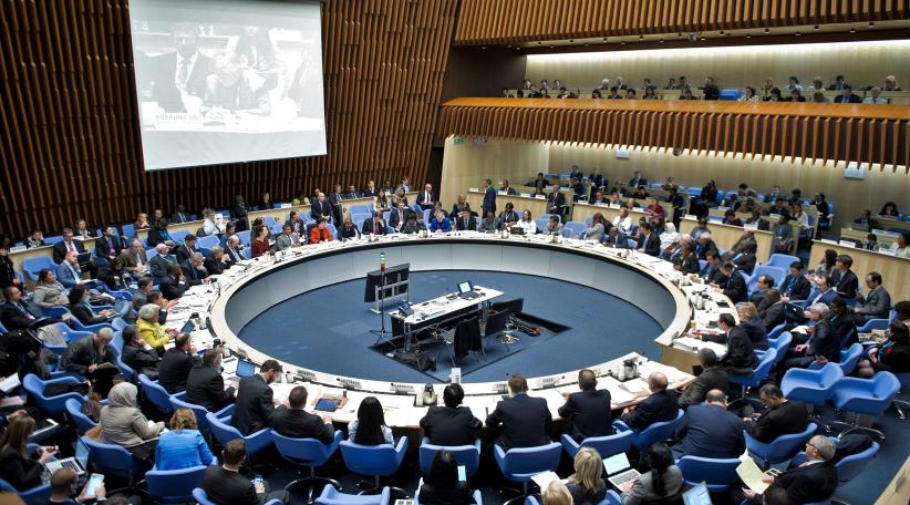 Asamblea de la Organización Mundial de la Salud