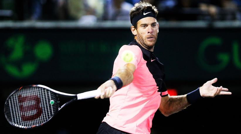 Juan Martín del Potro eliminó a Milos Raonic y se metió en semifinales