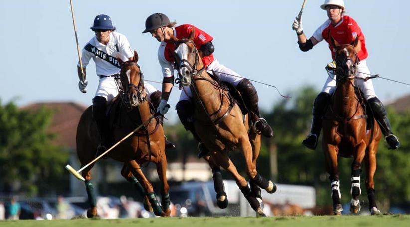 The Palm Beaches desarrolló su propuesta turística en La Cita de las Américas