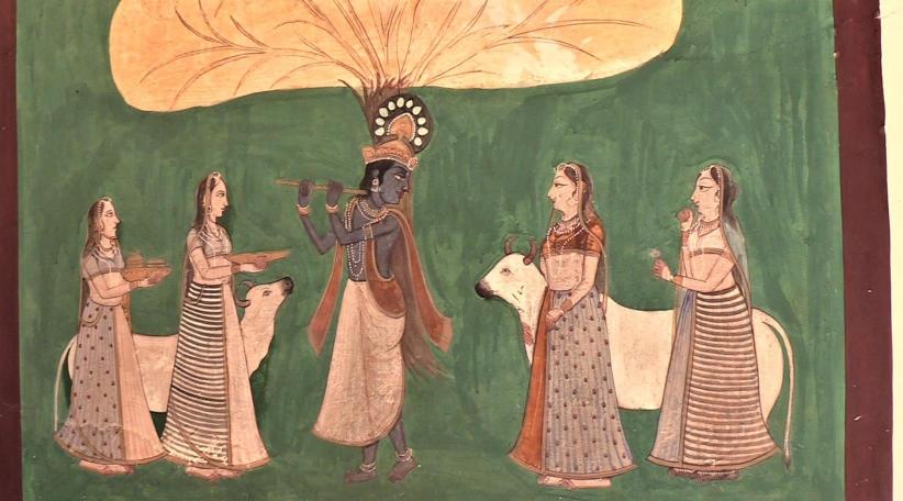  Why are cows sacred in India?