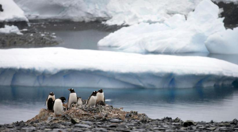 Antarctic island hits record temperature of 20.75C