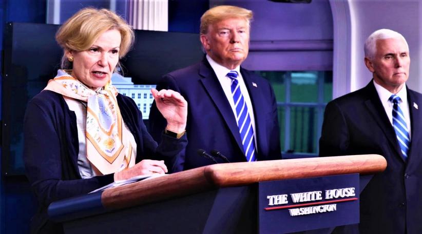 Coronavirus: medical experts denounce Trump's theory of 'disinfectant injection'