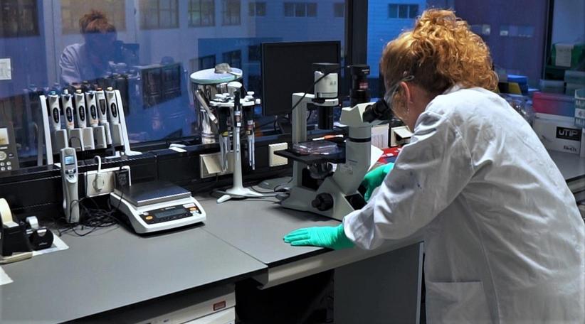 Johnson &amp; Johnson comenzará ensayos en humanos de vacuna contra covid-19 en julio