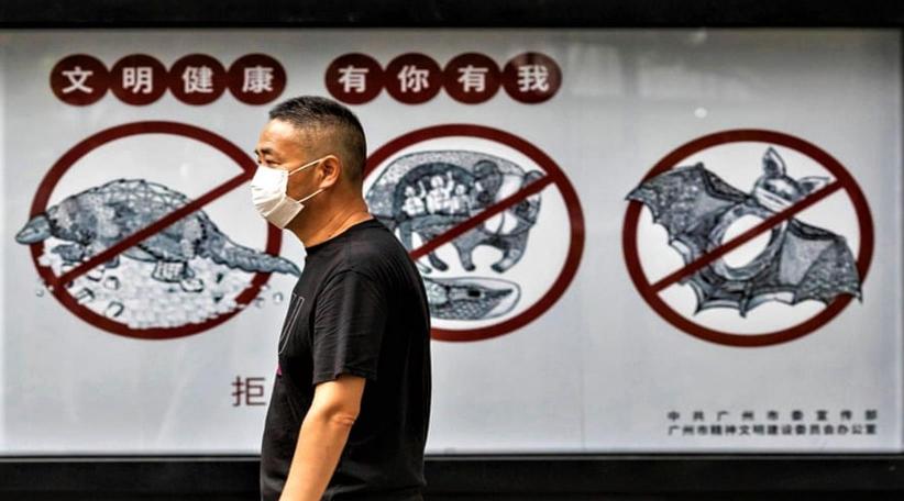 Pandemics result from destruction of nature, say UN and WHO