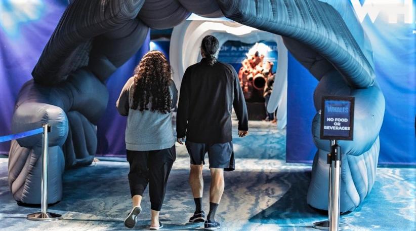 Clearwater Marine Aquarium abre una exhibición nueva e inmersiva de ballenas