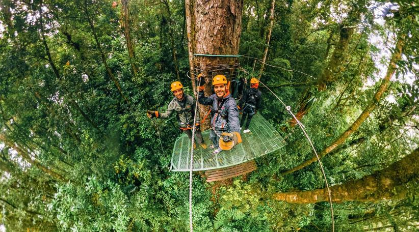 Panamá expande sus experiencias turísticas en las fincas cafeteras de Chiriquí