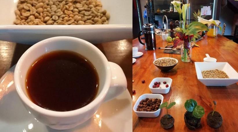 Panamá expande sus experiencias turísticas en las fincas cafeteras de Chiriquí