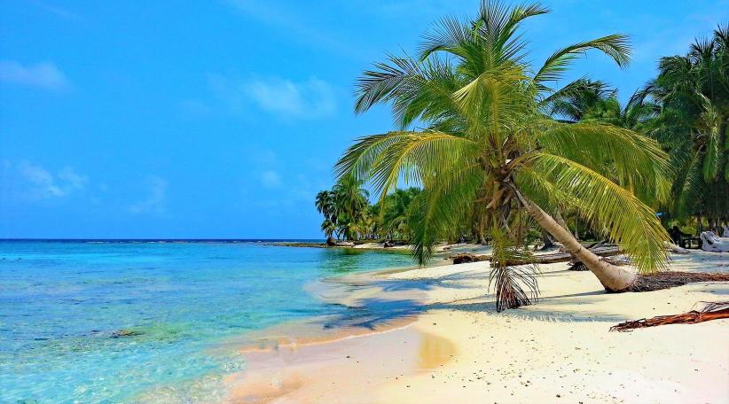 Panamá es nombrado "Líder Azul" gracias a sus esfuerzos de conservación por la Alianza Mundial de los Océanos 30x30