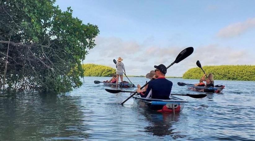 El Tour en kayak en la Reserva de Shell Key fue nombrada experiencia #1 en los EEUU por TripAdvisor
