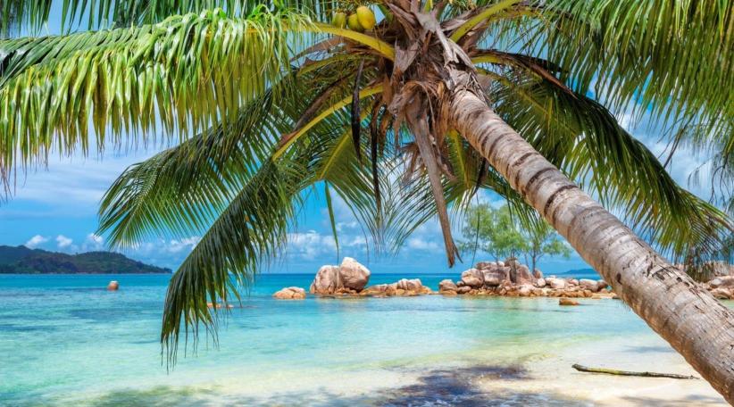 Declaración del Ministerio de Turismo, Inversiones y Aviación de Las Bahamas sobre la advertencia de viajes actualizada por los CDC
