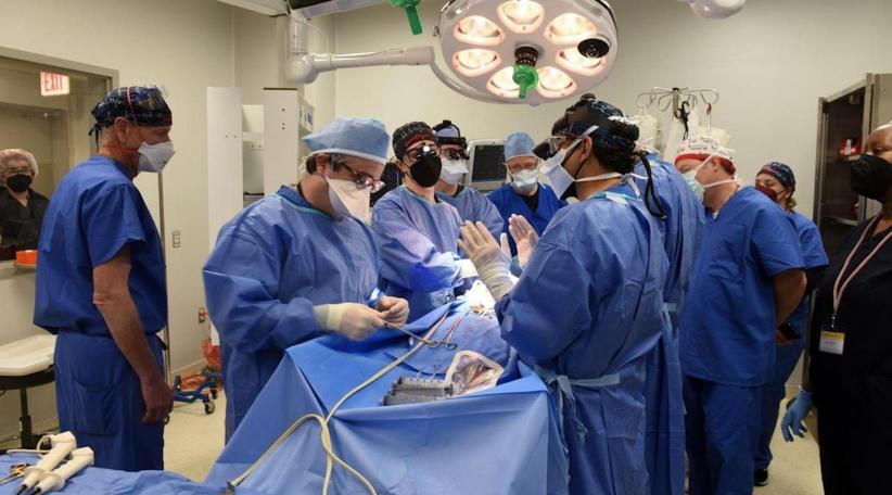 Man gets genetically-modified pig heart in world-first transplant