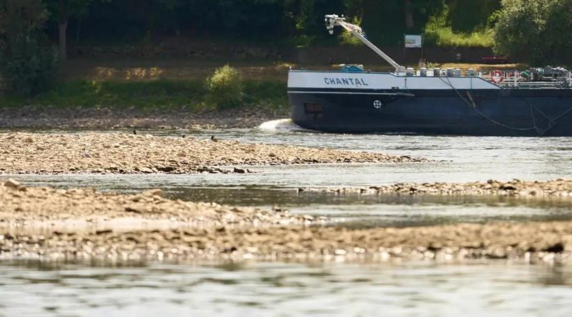 Drought hits Germany's Rhine River 'We have 30cm of water left'