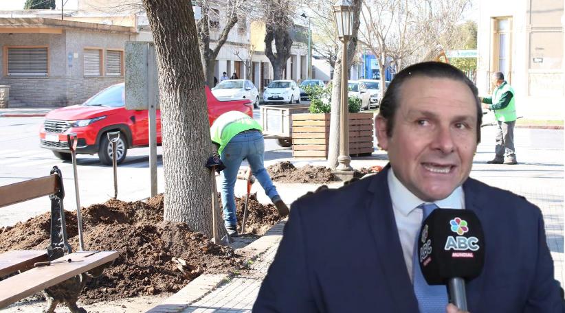 Dolores: Continúan los trabajos en la Plaza Castelli dónde se está realizando tareas de reforestación