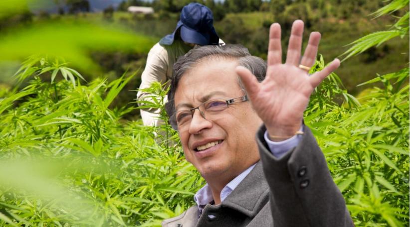 Colombia: Primer paso para despenalización total de la marihuana