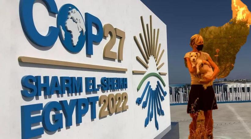 COP27: 'Climate chaos' warning as UN summit begins