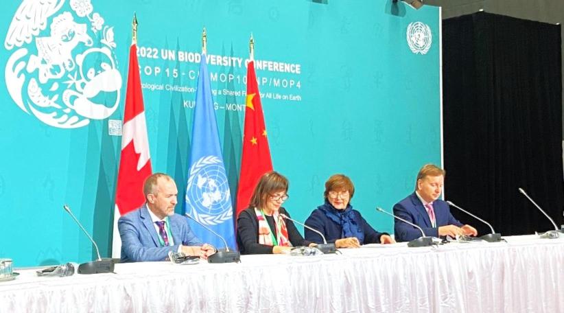 El WTTC anuncia su colaboración con la OMT y la Sustainable Hospitality Alliance en la COP15