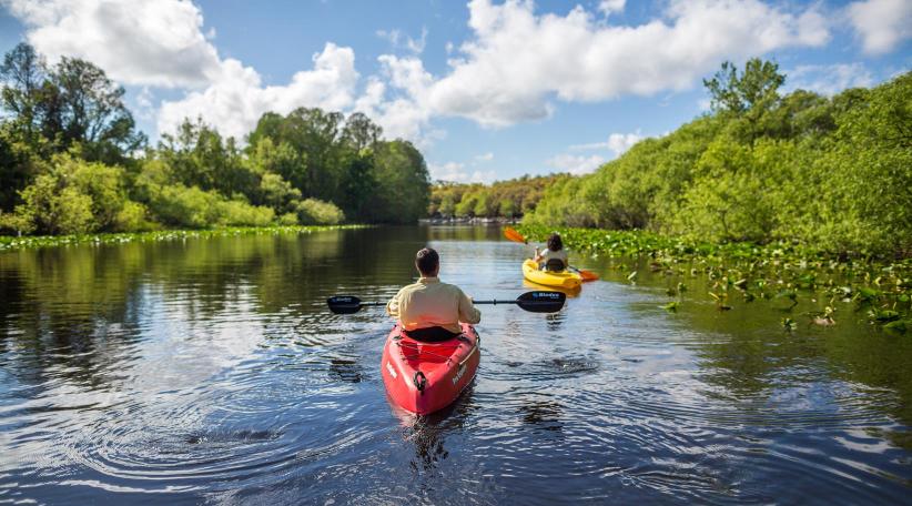 Florida Central propone disfrutar la naturaleza para sus próximas vacaciones