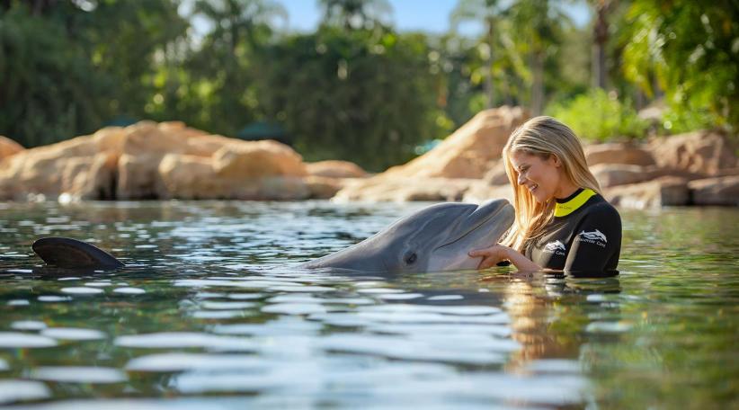 Discovery Cove, un oasis de relajación en Orlando para las vacaciones de julio