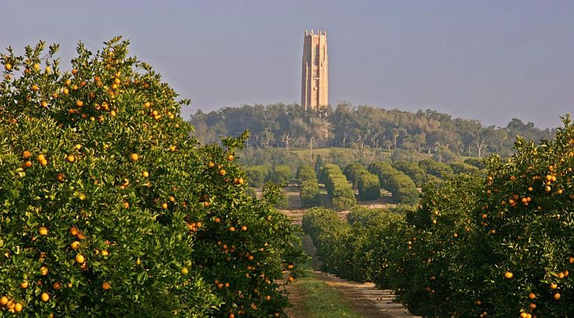 Bok Tower Gardens: Un paraíso natural en el corazón de Florida Central