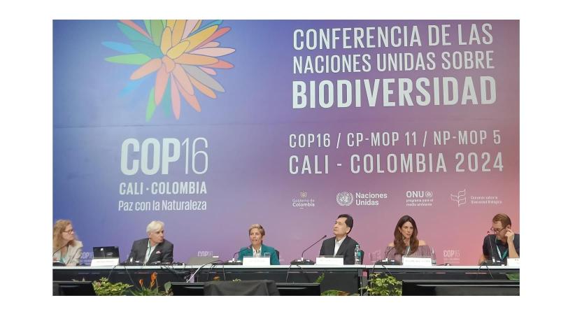 La Alianza de Turismo Positivo para la Naturaleza llama a líderes globales en la COP16 en Cali para fortalecer el turismo como guardián de la biodiversidad
