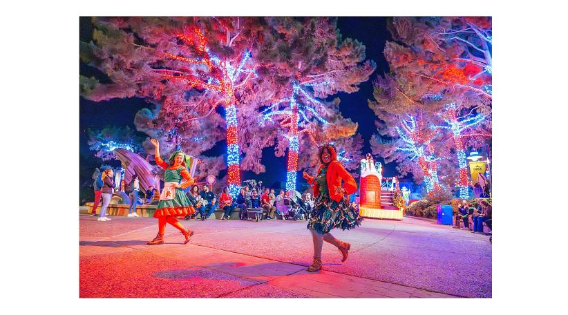SeaWorld San Diego ilumina las fiestas con una nueva y mágica celebración navideña