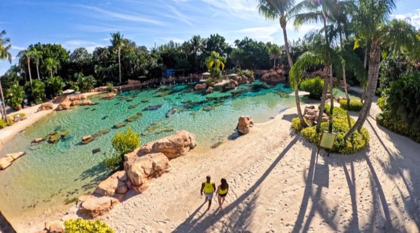 Discovery Cove lanza una oferta exclusiva de fin de año
