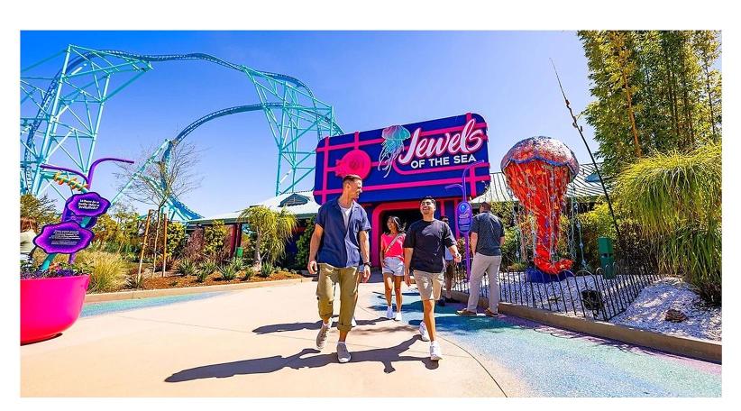 SeaWorld San Diego inaugura 'Joyas del Mar', la mayor exhibición independiente de medusas en EE.UU.