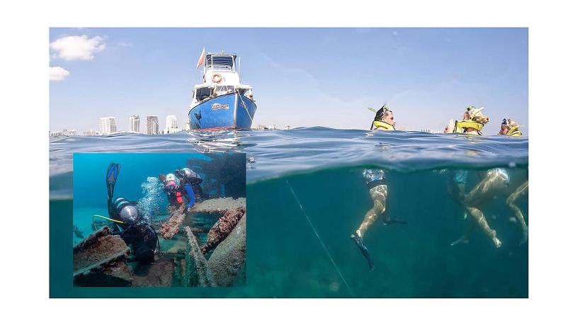 Sea Experience: La aventura marina imperdible en Fort Lauderdale