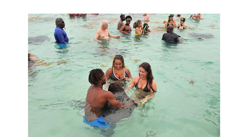 Nadar con mantarrayas, un tour para valientes en Stingray City, Antigua