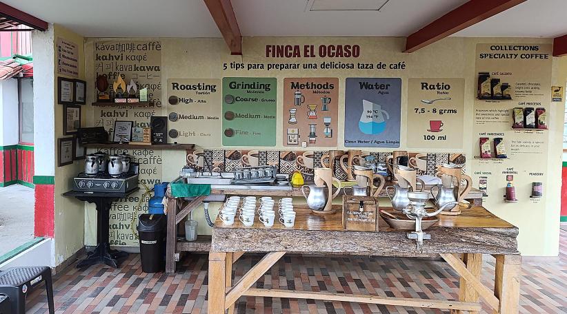 Visitamos la Finca El Ocaso, un tesoro entre cafetales y aromas