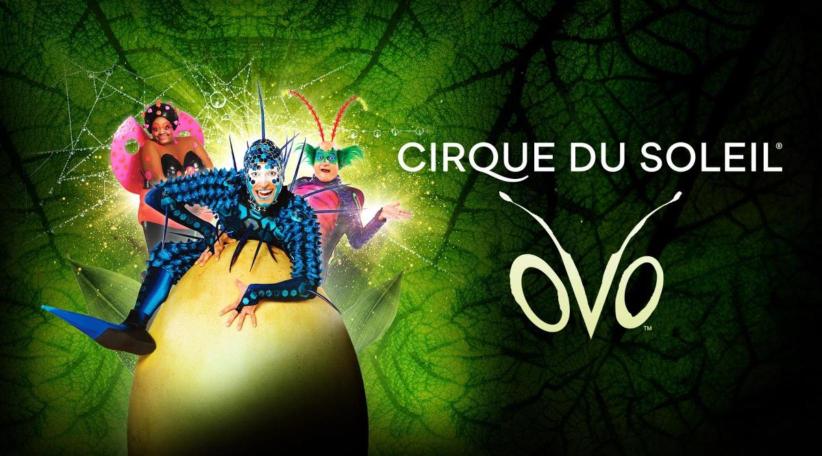 Imperdibles presentaciones de Cirque du Soleil en Fort Lauderdale