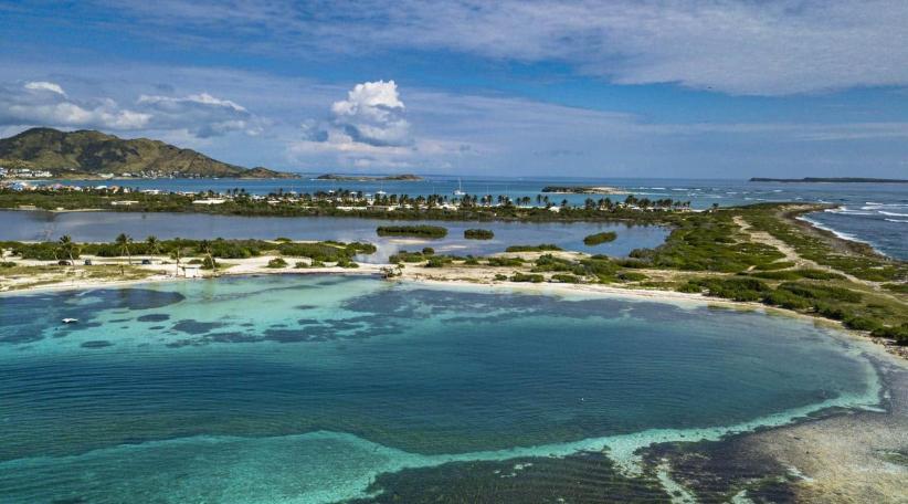 Manglares y lagunas: la riqueza natural que hace de Saint-Martin un destino más allá del sol y la playa