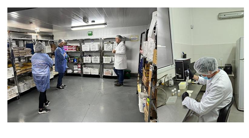 Grupo L y el CONICET impulsan la reutilización de subproductos vegetales para desarrollar proteínas alternativas