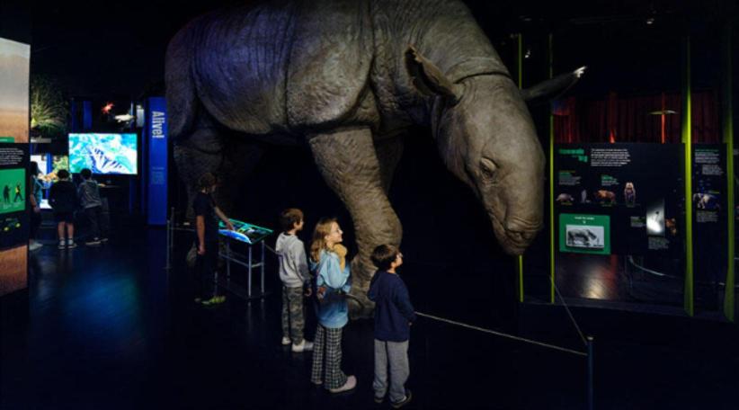 The End of the Age of Dinosaurs será la gran atracción del American Museum of Natural History en 2026.  (Crédito: Alvaro Keding y Daniel Kim / AMNH)