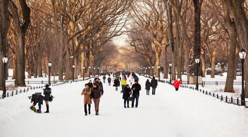 U.S. Travel Starts 2026 on Stable Ground Despite Weak International Inbound Demand.