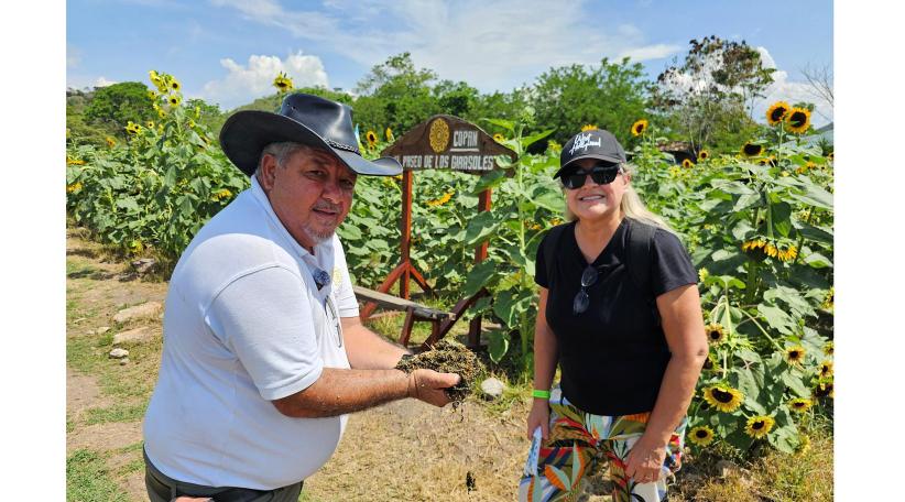 Visitamos el Paseo de los Girasoles, una experiencia de naturaleza y turismo sostenible en Copán.