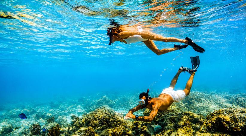 Snorkel en Aruba: la experiencia sustentable que propone Bucuti &amp; Tara entre arrecifes de coral y aguas cristalinas