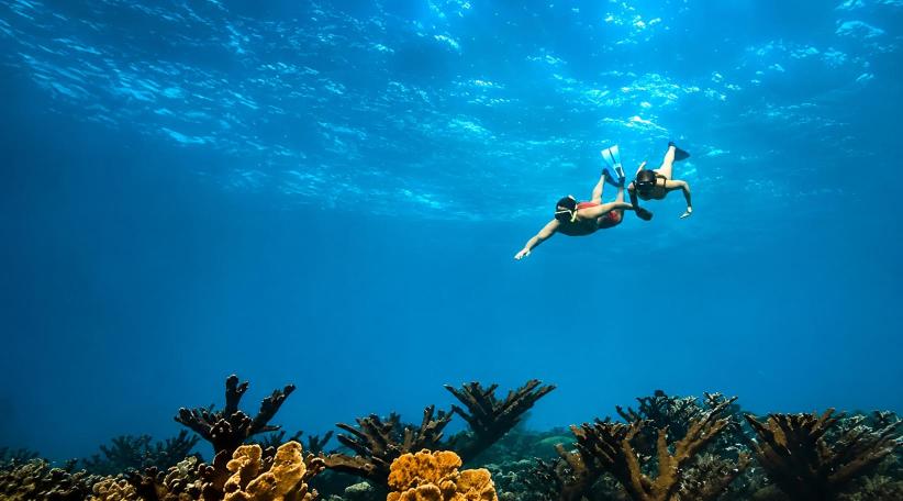Aruba convida as famílias a redescobrir as férias de inverno com experiências inesquecíveis.