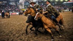Del 18 al 29 de julio llega una nueva edición de la Exposición Rural en Palermo