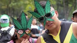 México: Aprueban en comisiones del Senado la regulación de marihuana