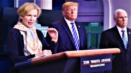 Coronavirus: medical experts denounce Trump's theory of 'disinfectant injection'