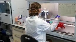 Reino Unido aprueba la vacuna de Oxford-AstraZeneca contra el covid-19