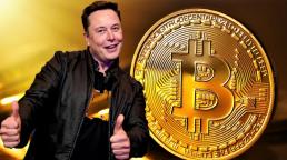 Bitcoin se acerca a  los 50.000 dólares tras la inversión de Tesla liderada por Elon Musk 