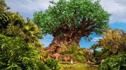 Disney celebra el Día de la Tierra en Disney's Animal Kingdom