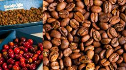 Panamá celebra el final de su cosecha de café y las experiencias turísticas de la región de las Tierras Altas