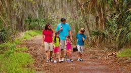 Disfrute del aire libre recorriendo los paisajes naturales de Florida Central, a menos de una hora de Orlando