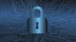 Experto en ciberseguridad: una profesión necesaria y en pleno crecimiento